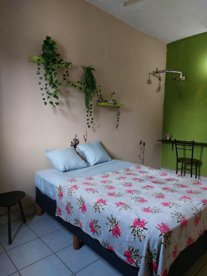 Cho Ku Rei Hostal San José del Cabo Buitenkant foto
