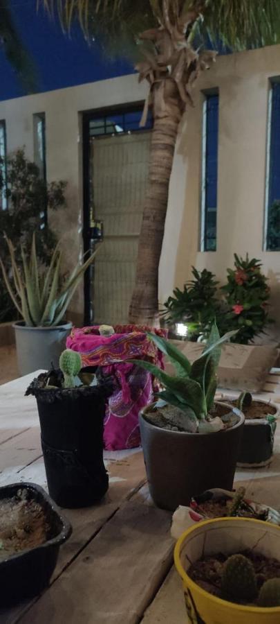 Cho Ku Rei Hostal San José del Cabo Buitenkant foto
